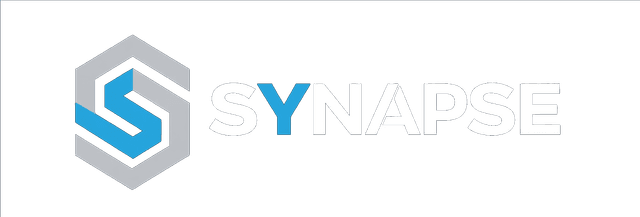 Synapse